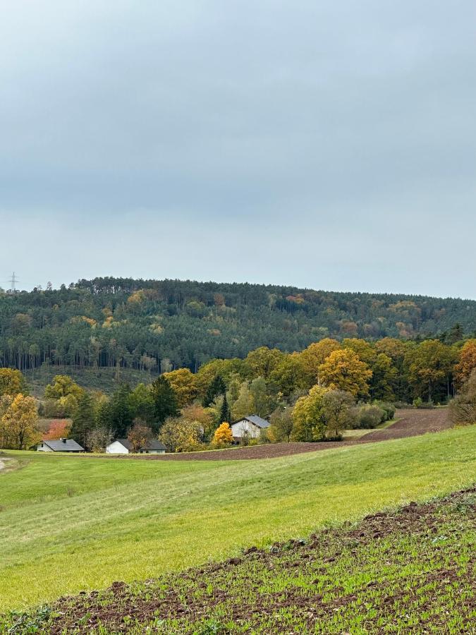 Ferienhaus Ella Trautskirchen Buitenkant foto